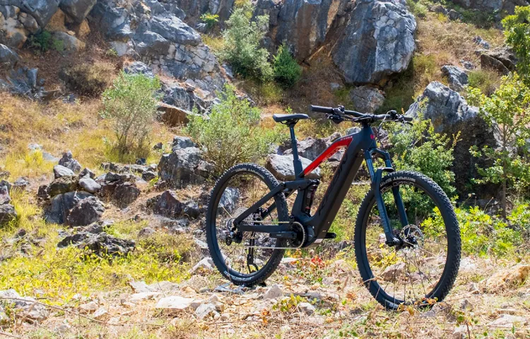 Electric Bikes