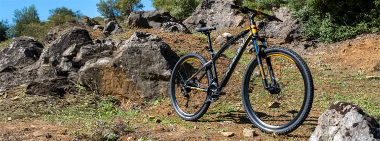 Mountain Bikes