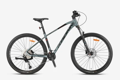 KRONN XC 1 29″ H.DISC