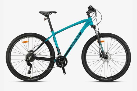XC 300 29" H.DİSK